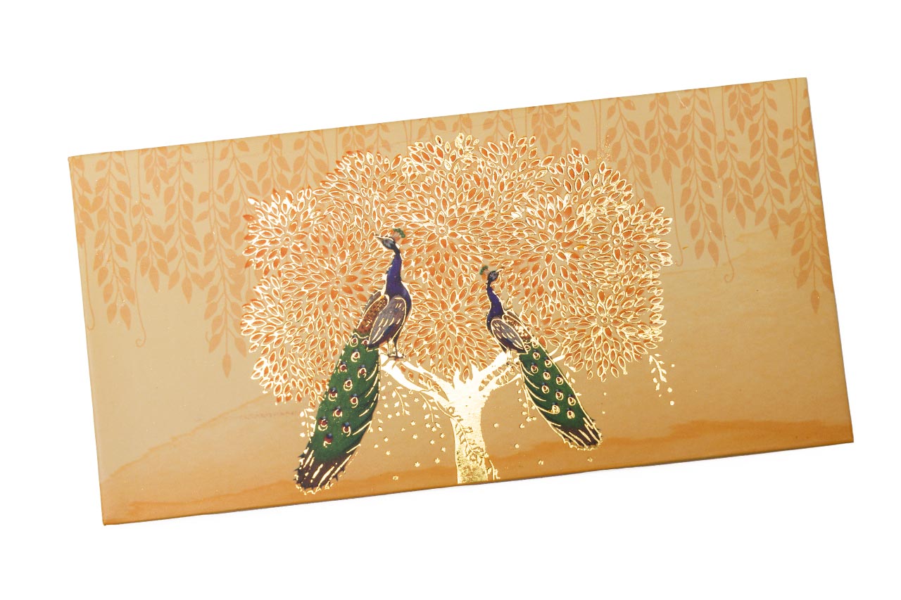 Peacock Pattern Envelope