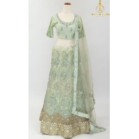 Sea green shade Net Lehnga