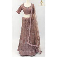 Nutmeg shade Net Lehenga