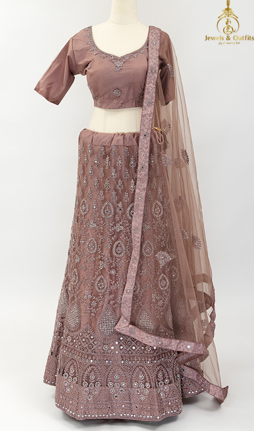 Nutmeg shade Net Lehenga