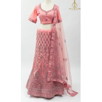 Adorable shade Net Lehenga