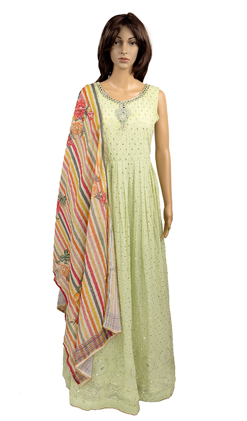 Alluring soft shade gown