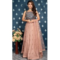 Light brown lehenga Dress