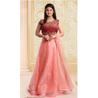 Pink lehenga Dress