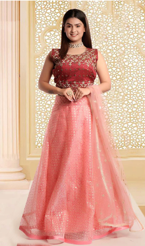 Pink lehenga Dress