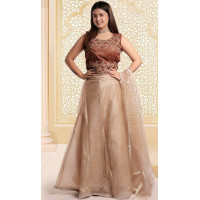 Brown lehenga Dress