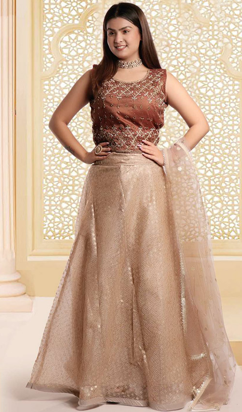 Brown lehenga Dress