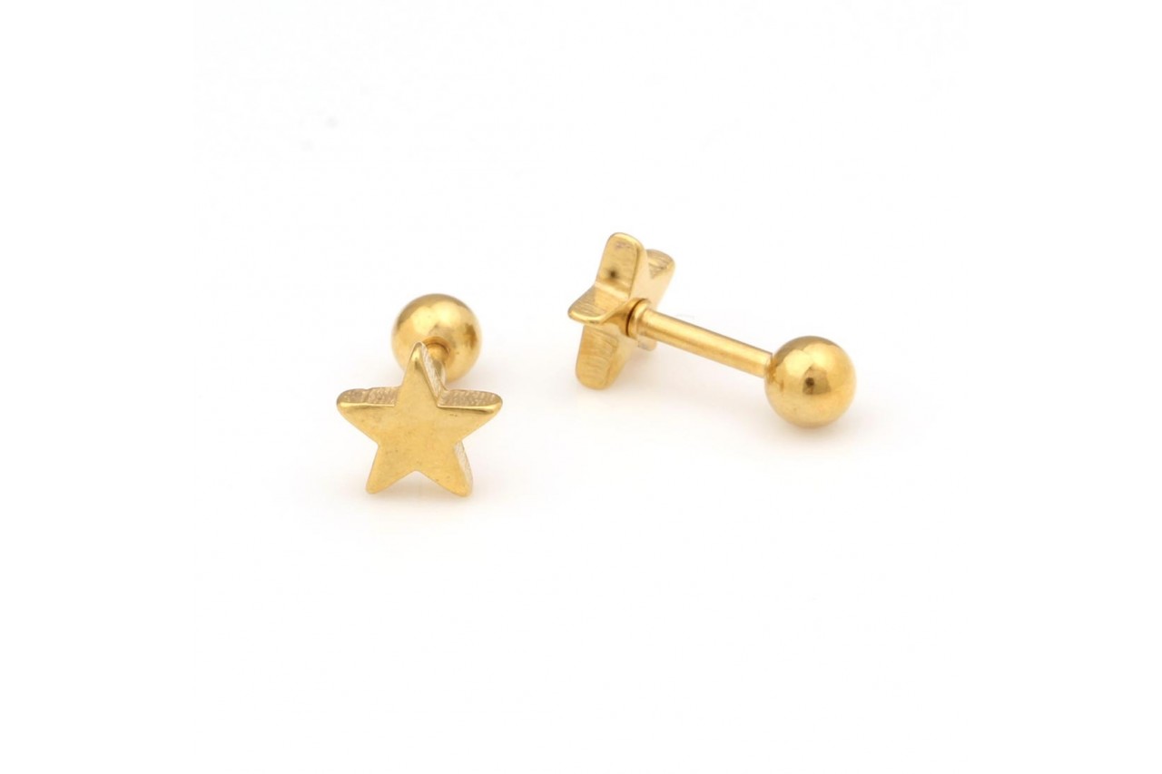 Star Pattern Studs 