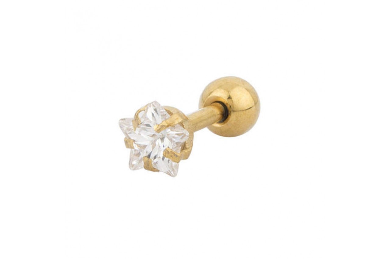 Star Circle Designer Studs 