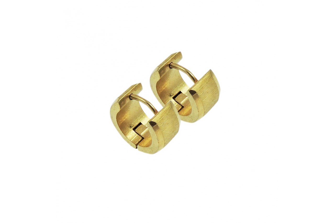 LS Golden Hoop Earrings
