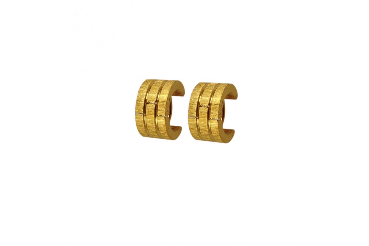 LS Golden Hoop Earrings