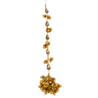 Ashtonishing golden tail paranda