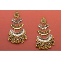layered Dual Shade Earrings