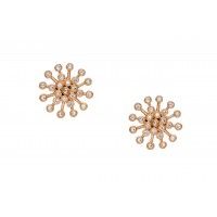 Floral Inspired studs