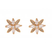 Tingling Star studs