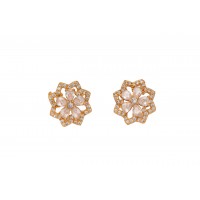 Sparkling Star Shape Studs